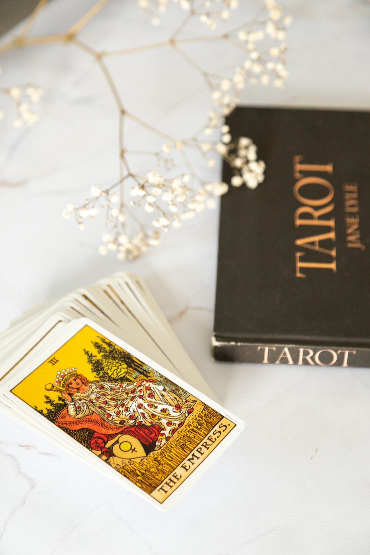 An open book beside a black and gold tarot deck