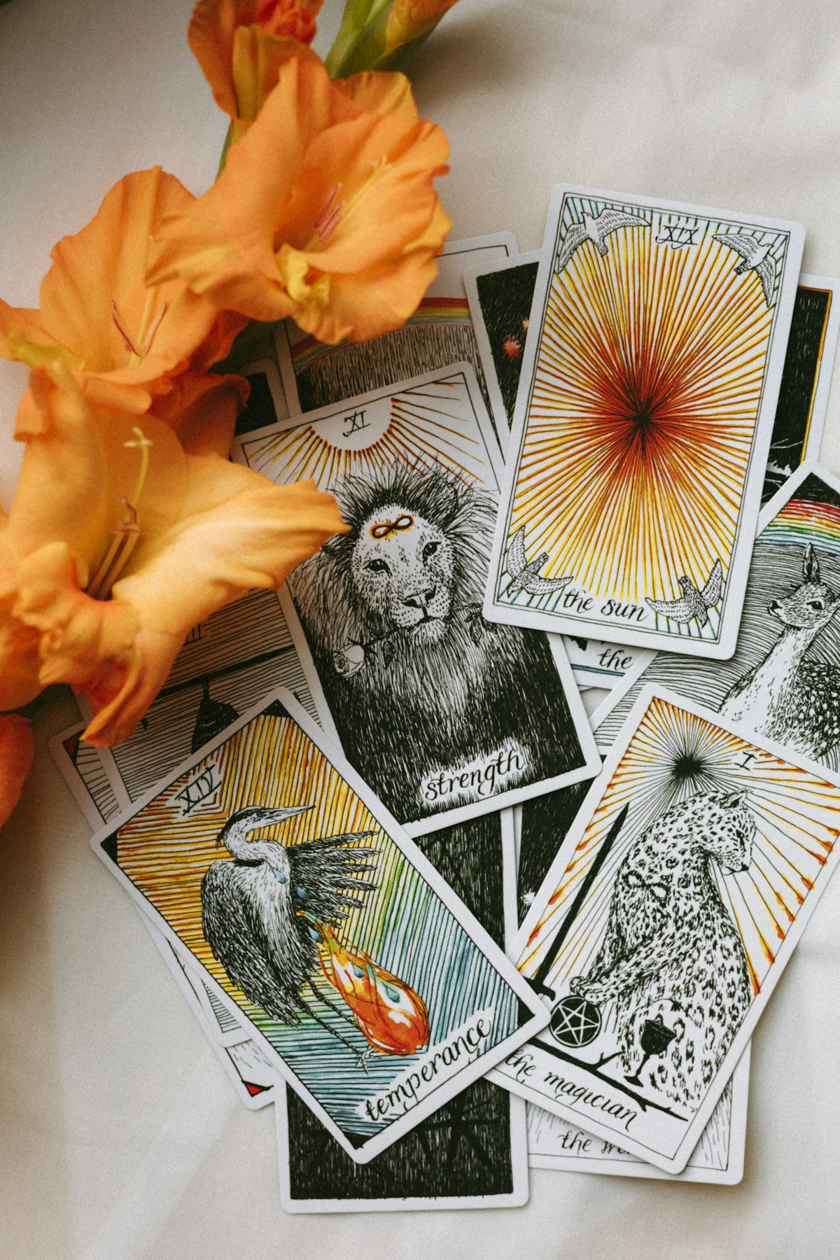 A spread of illustrated tarot cards